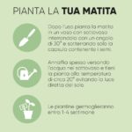 Matita Piantabile in Legno Sanremo - immagine 2